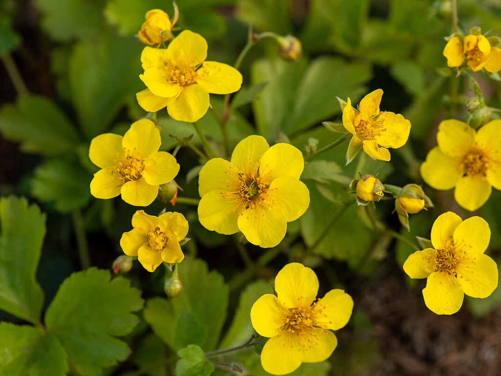 Untitled design 2024 06 08T091530.264