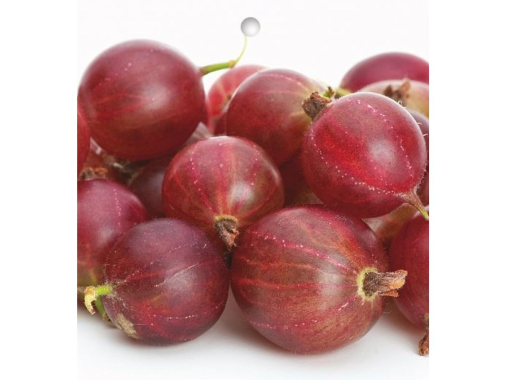 ovocne stromy ducplant(10)