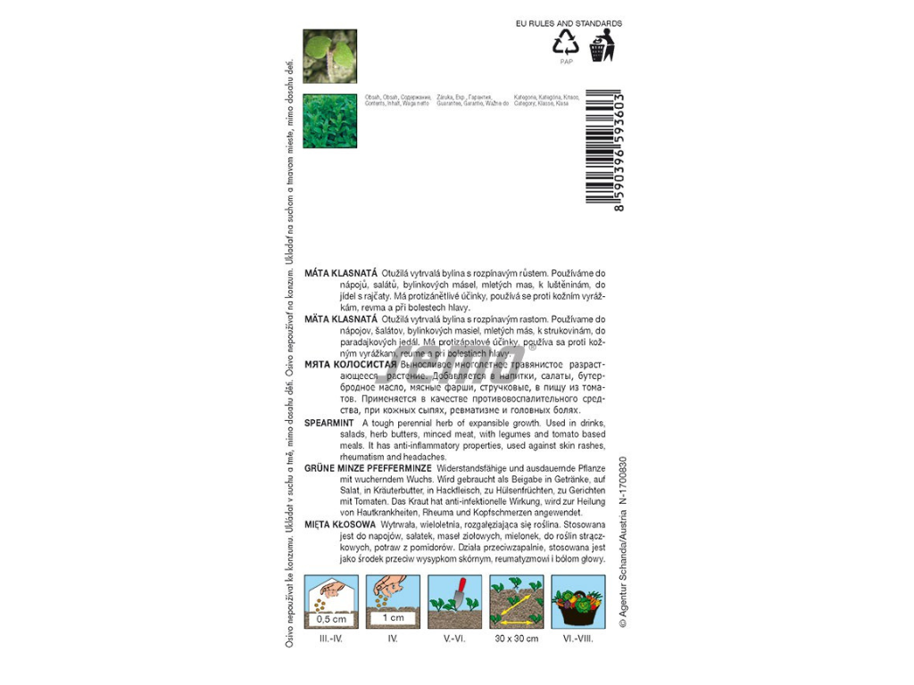 Untitled design 2025 01 26T195223.298