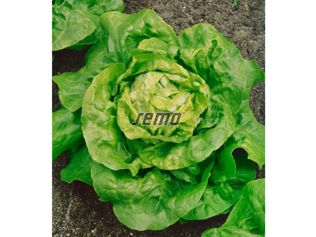 Untitled design 2025 01 30T140612.586