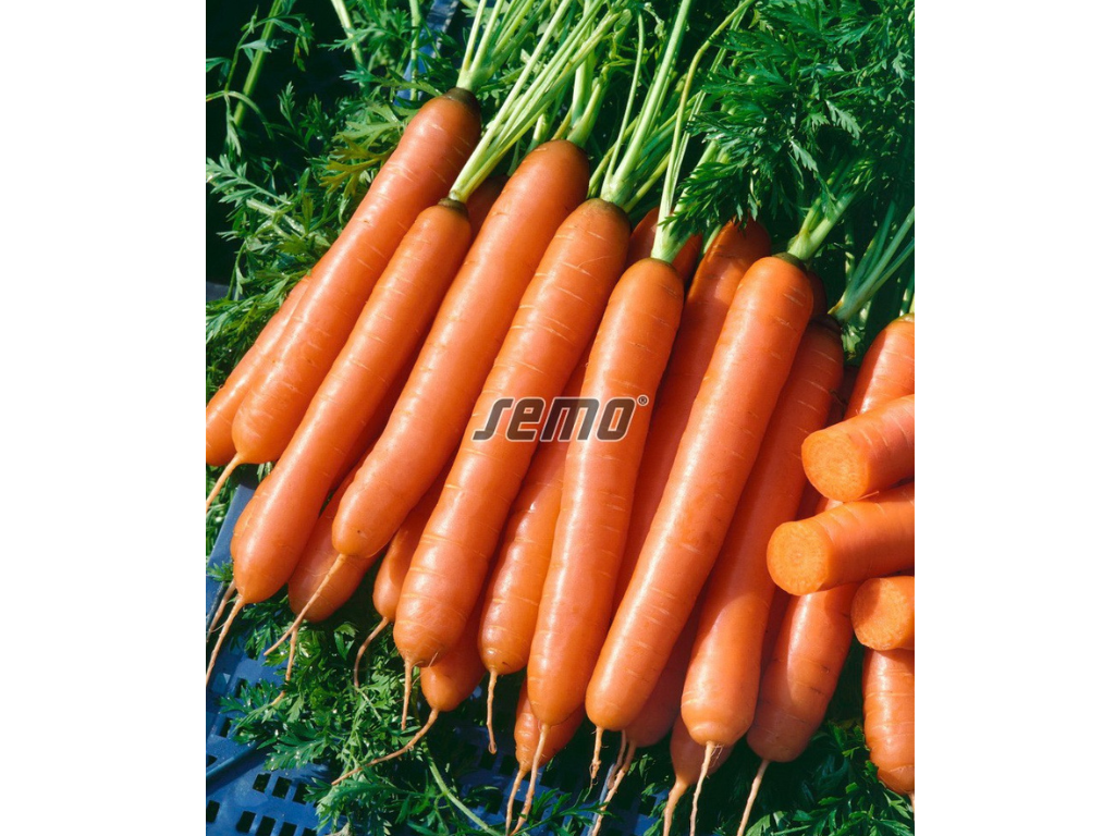 Untitled design 2025 01 27T192421.836
