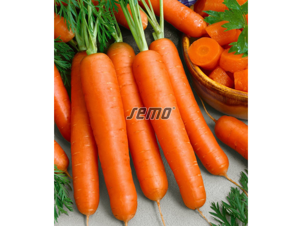 Untitled design 2025 01 27T192740.846