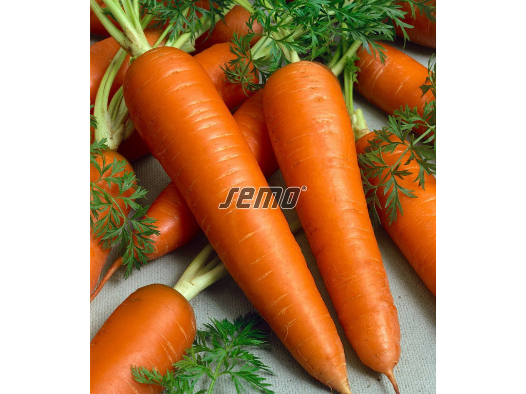 Untitled design 2025 01 27T190238.290