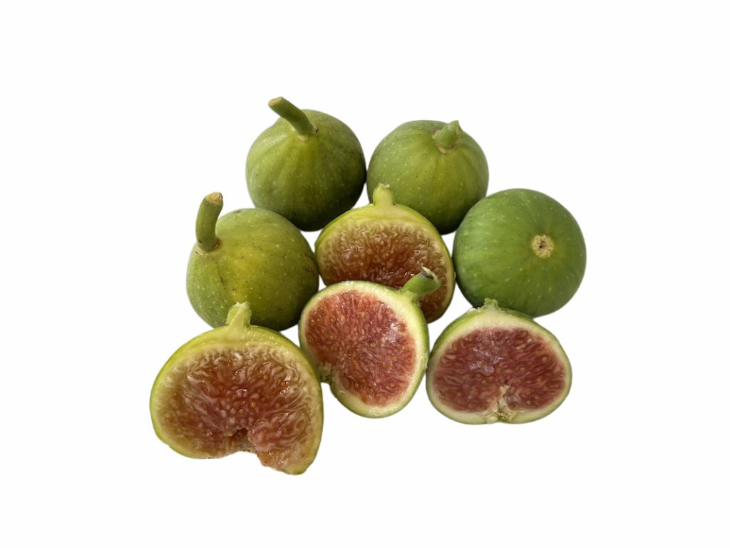 Drobné ovocie Figovník Brogiotto Bianco(2)