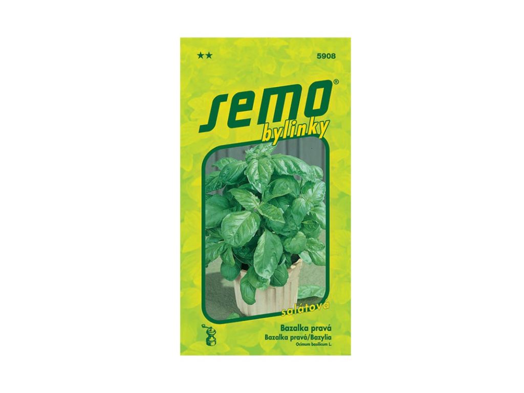 Semená Bazalka