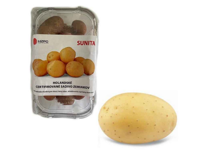 Untitled design 2024 03 08T214504.147