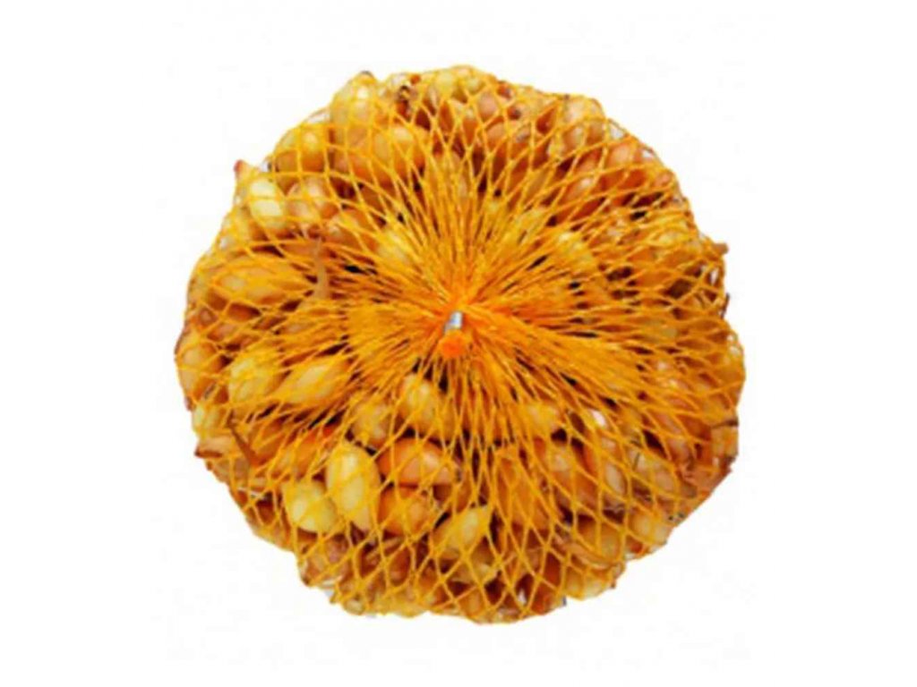 Cibuľa sadzačka Všetana 8-21 mm, 250g