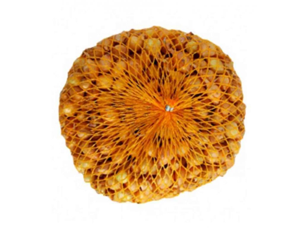 Cibuľa sadzačka Štutgardská 8-21 mm, 250g