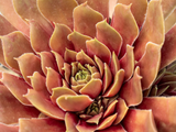 Untitled design 2024 04 22T213500.192