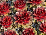 Untitled design 2024 04 22T214120.515