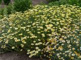 Untitled design 2024 04 30T215834.963
