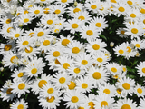 Untitled design 2024 05 04T214154.044
