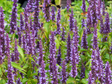 Untitled design 2024 06 07T154921.746