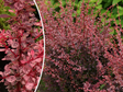 Untitled design 2024 07 18T215120.187