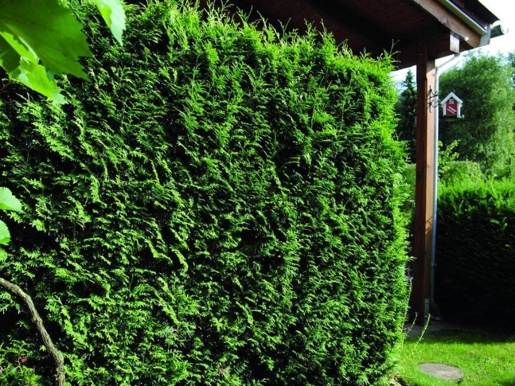 Untitled design 2024 09 18T221742.786