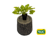 Trvalky Heuchera Lime Rickey(1)