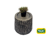 Trvalky Machovec Platts Black(2)