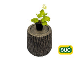 Trvalky Heuchera Blondie in Lime(2)