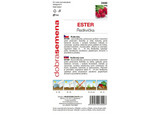 Untitled design 2025 01 30T085638.227