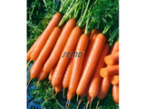 Untitled design 2025 01 27T192421.836
