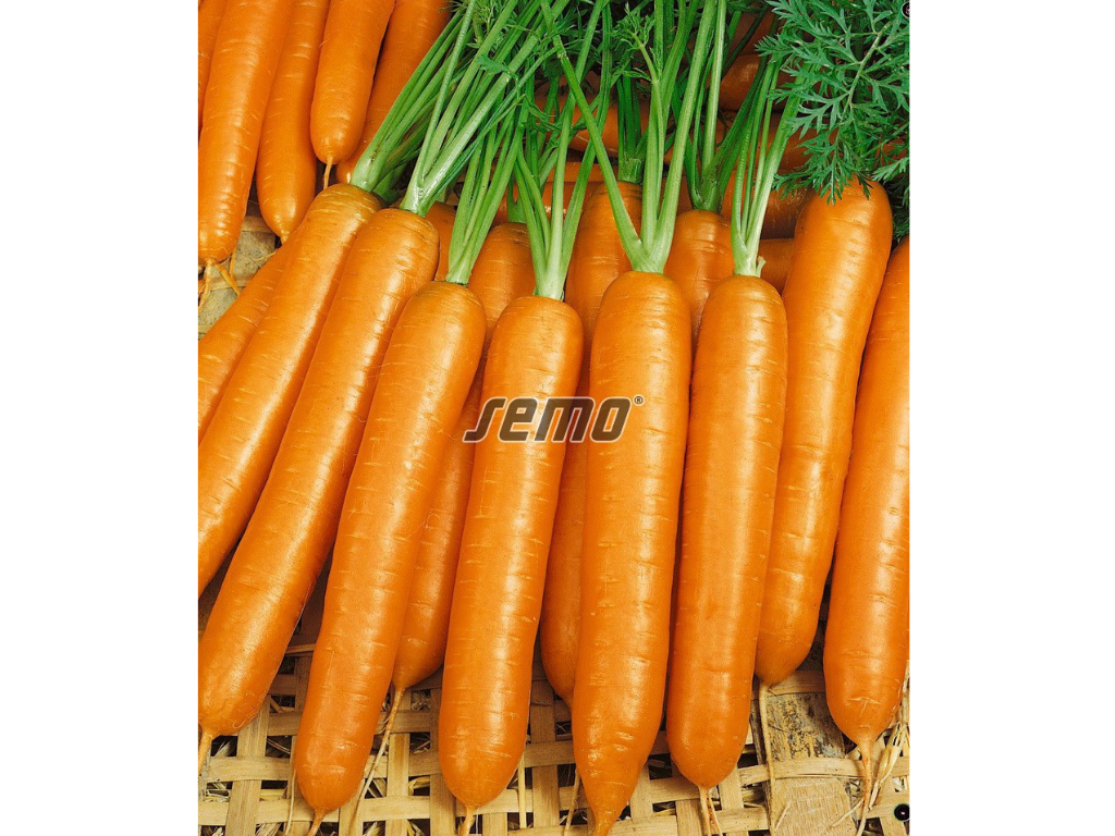 Untitled design 2025 01 27T192158.768