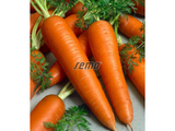 Untitled design 2025 01 27T190238.290
