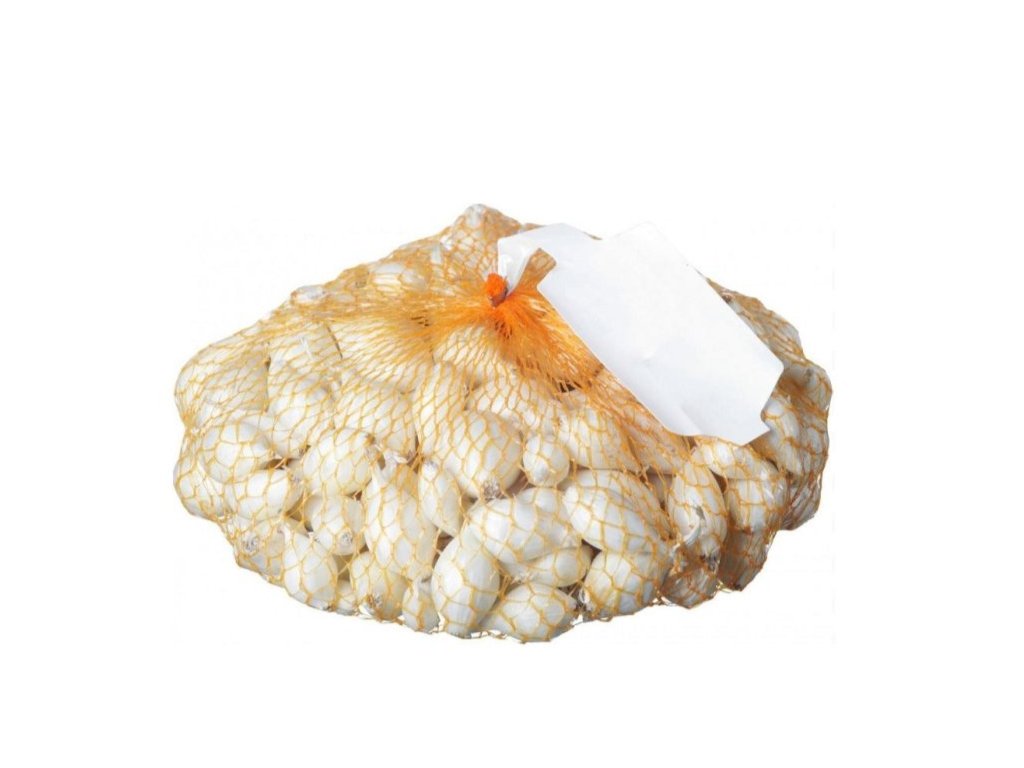 Cibuľa sadzačka biela Snowball 8-21mm 200g