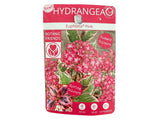 Okrasné kry Hortenzia pílovitá Euphoria Pink 25 35 cm(4)