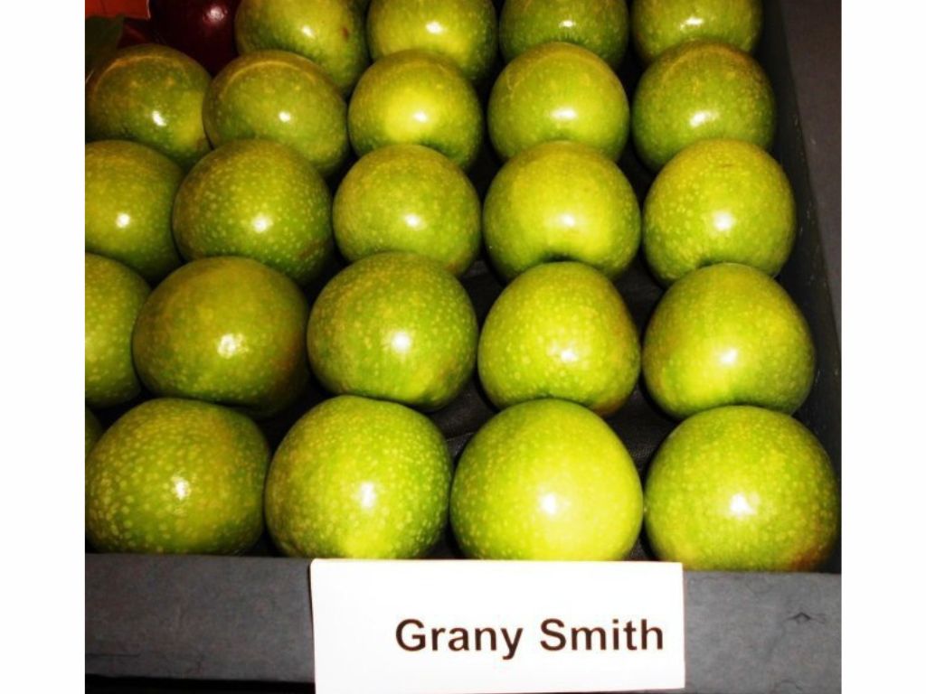 Ovocné stromy Jabloň Granny Smith(1)