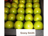 Ovocné stromy Jabloň Granny Smith(1)