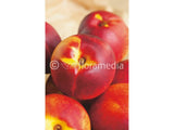 Nektarinka Star Red Gold na kmínku 90-100 cm, výška 150-180 cm, květináč 10 l