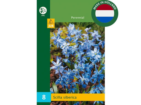 Cibuľoviny Scila sibírska 8 ks(3)