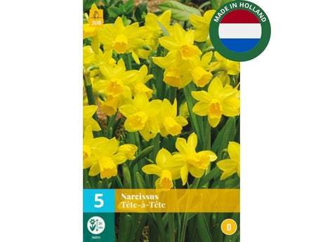 Cibuľoviny Narcis TETE Á TETE 5 k(9)