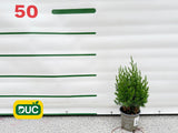 Okrasné kry Borievka čínska Stricta cca 20 cm(2)