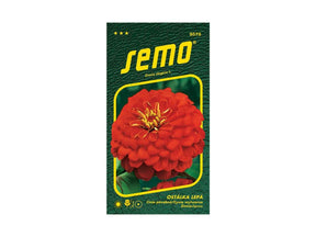 Semená Cínia (6)