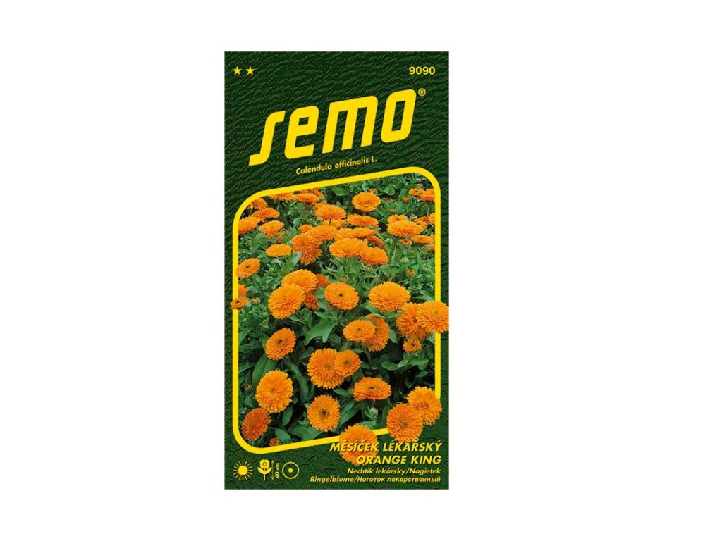 Semená Nechtík