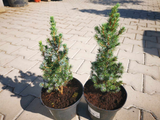 Untitled design 2023 09 29T203232.874