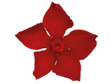 Letničky a balkónové kvety Mandevila Sundaville Beauty Vermillion(2)