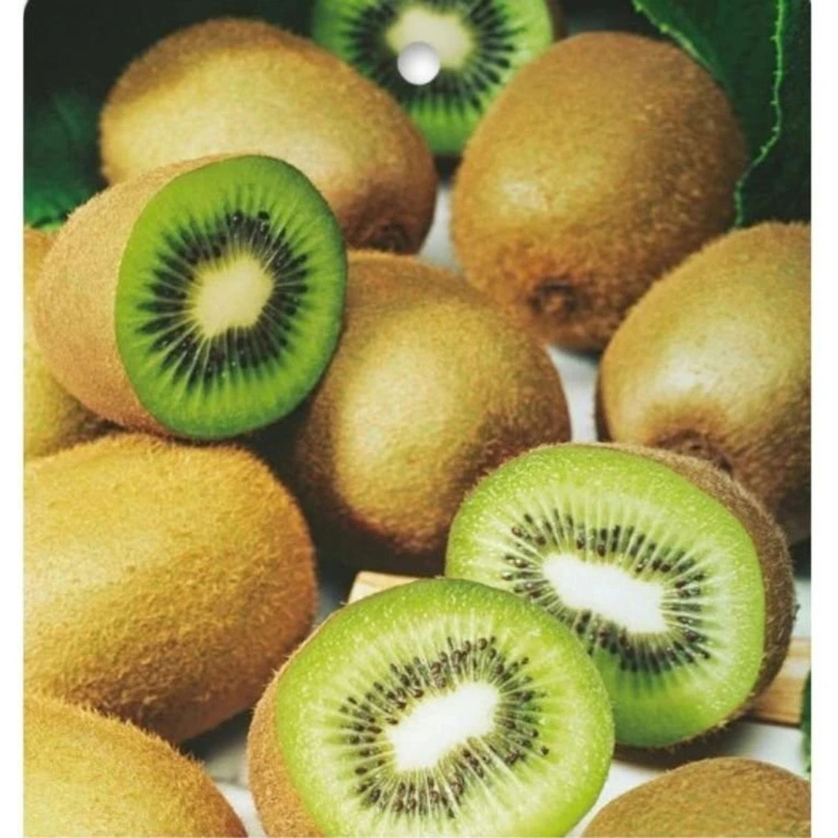 Kiwi velkoplodé Solo, výška 150-180 cm, květináč 3 l