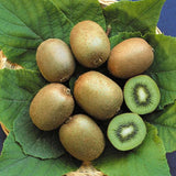 Kiwi velkoplodé Hayward, výška 30–40 cm, květináč 3 l