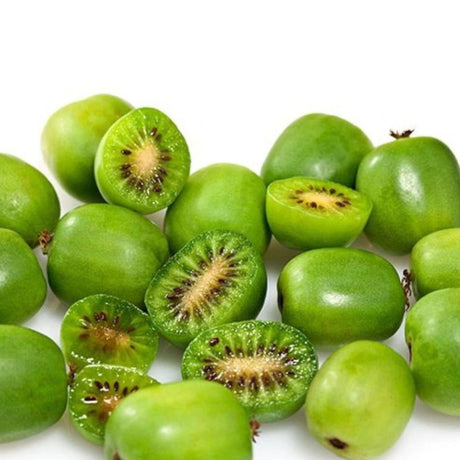Mini kiwi Issai samosprašné, výška 30–40 cm, květináč 17 cm