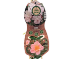 Růže popínavá Blueshing Queen, výška 50–60 cm, květináč 1,5 l
