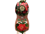 Růže popínavá Red Queen, výška 50–60 cm, květináč 1,5 l
