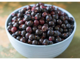 Muchovník olšolistý Saskatoon Berry, výška 20–40 cm, květináč 21 cm