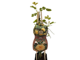Růže popínavá Spring Queen, výška 50–60 cm, květináč 1,5 l