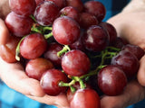 Réva vinná stolní Suffolk Red, vyvázaná, výška 150–175 cm, květináč 5 l