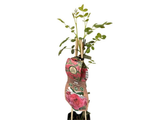 Růže popínavá Candy Queen, výška 50–60 cm, květináč 1,5 l